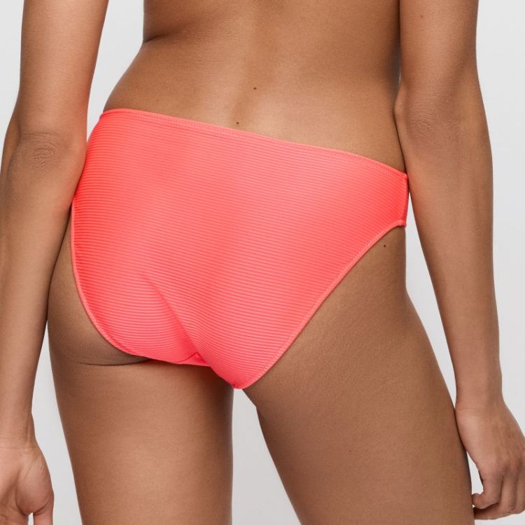 CASSIE NEF Neon Fiesta
