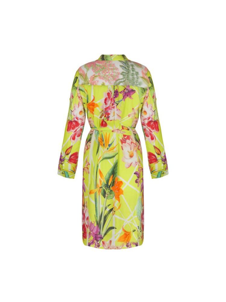 FLEURS SPLENDEUR 1475 SPLENDEUR 